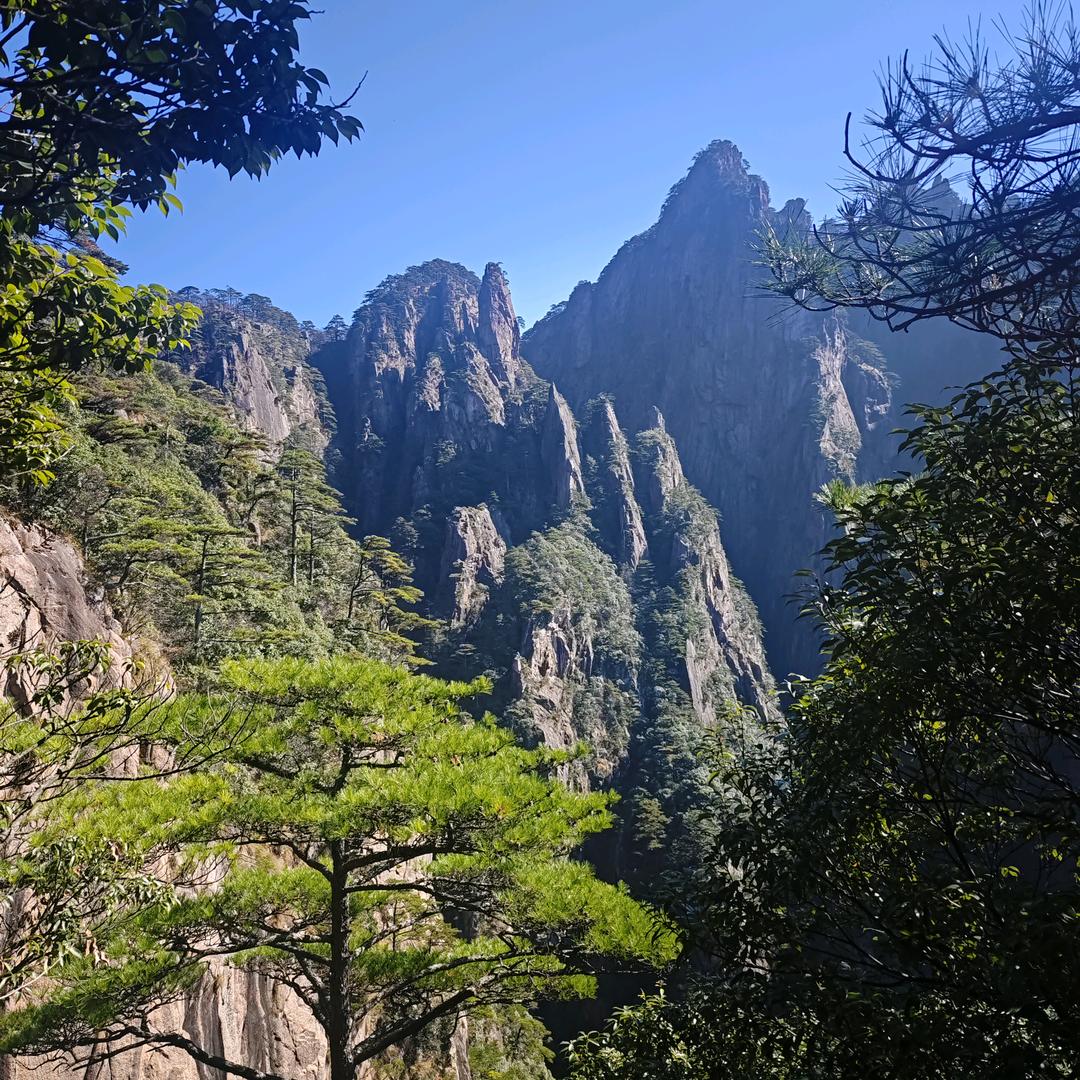 大强子