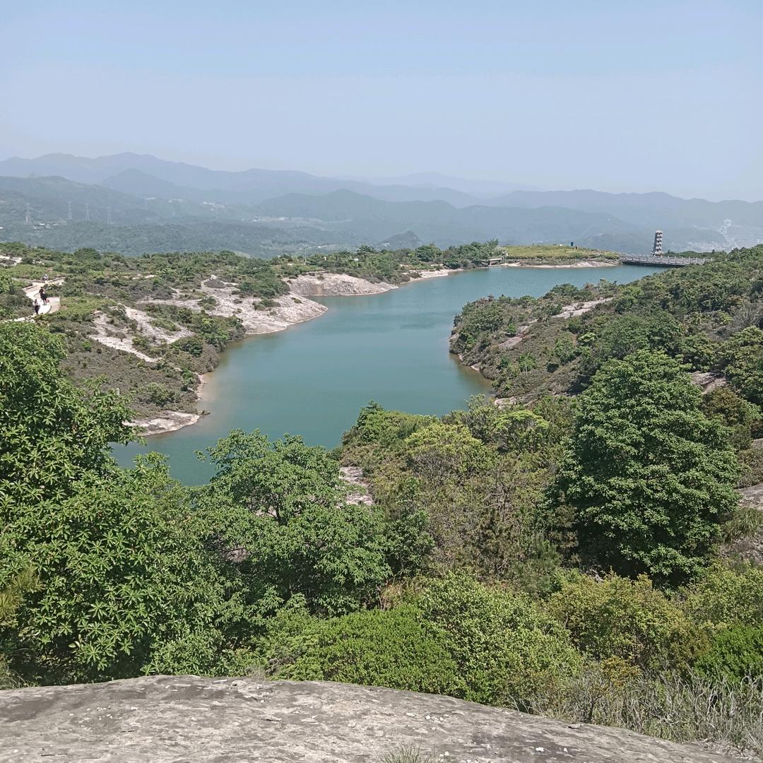 黄弟