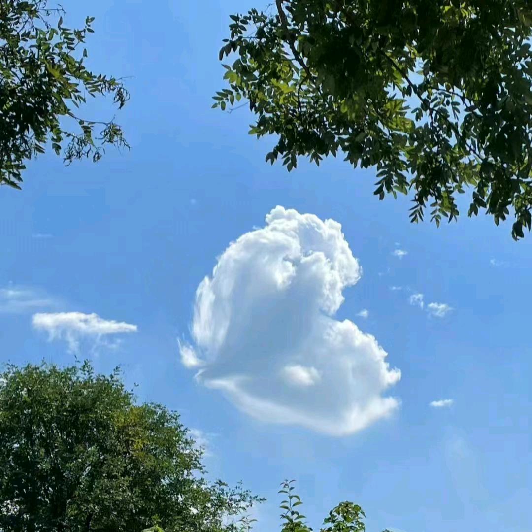 小胖纸。
