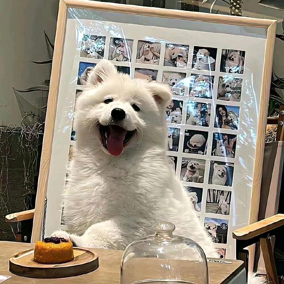 呀呀呀呀呀