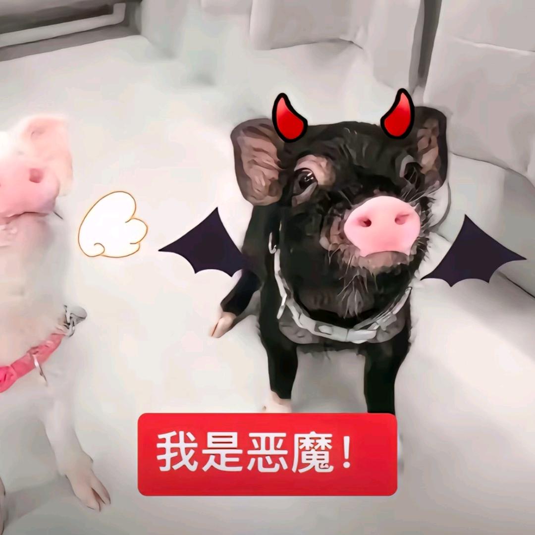 恶言伤人心