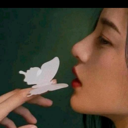 付美华
