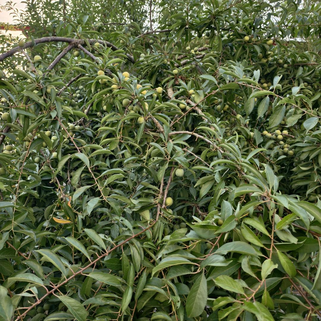 旧房翻新直播间