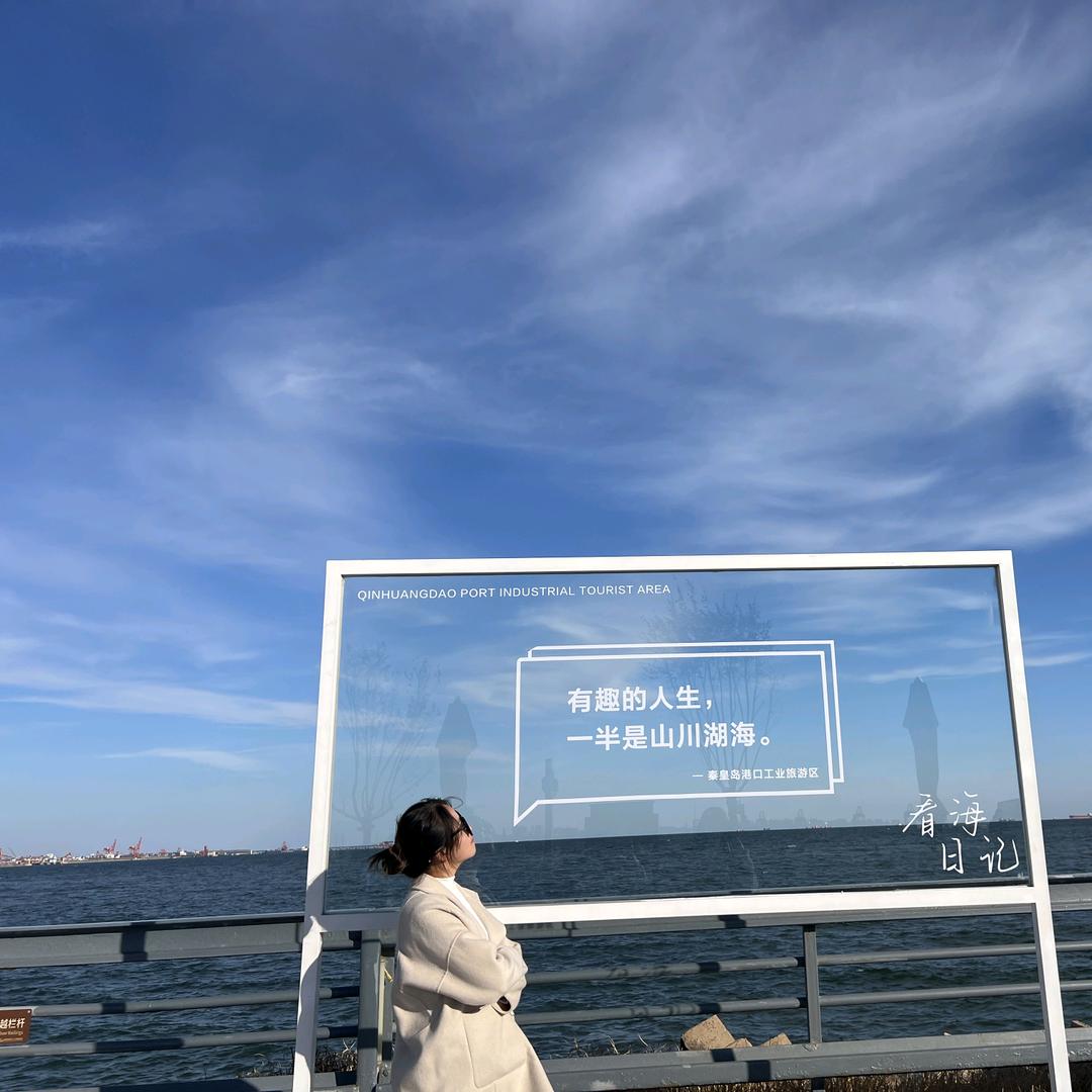 揽星河入梦