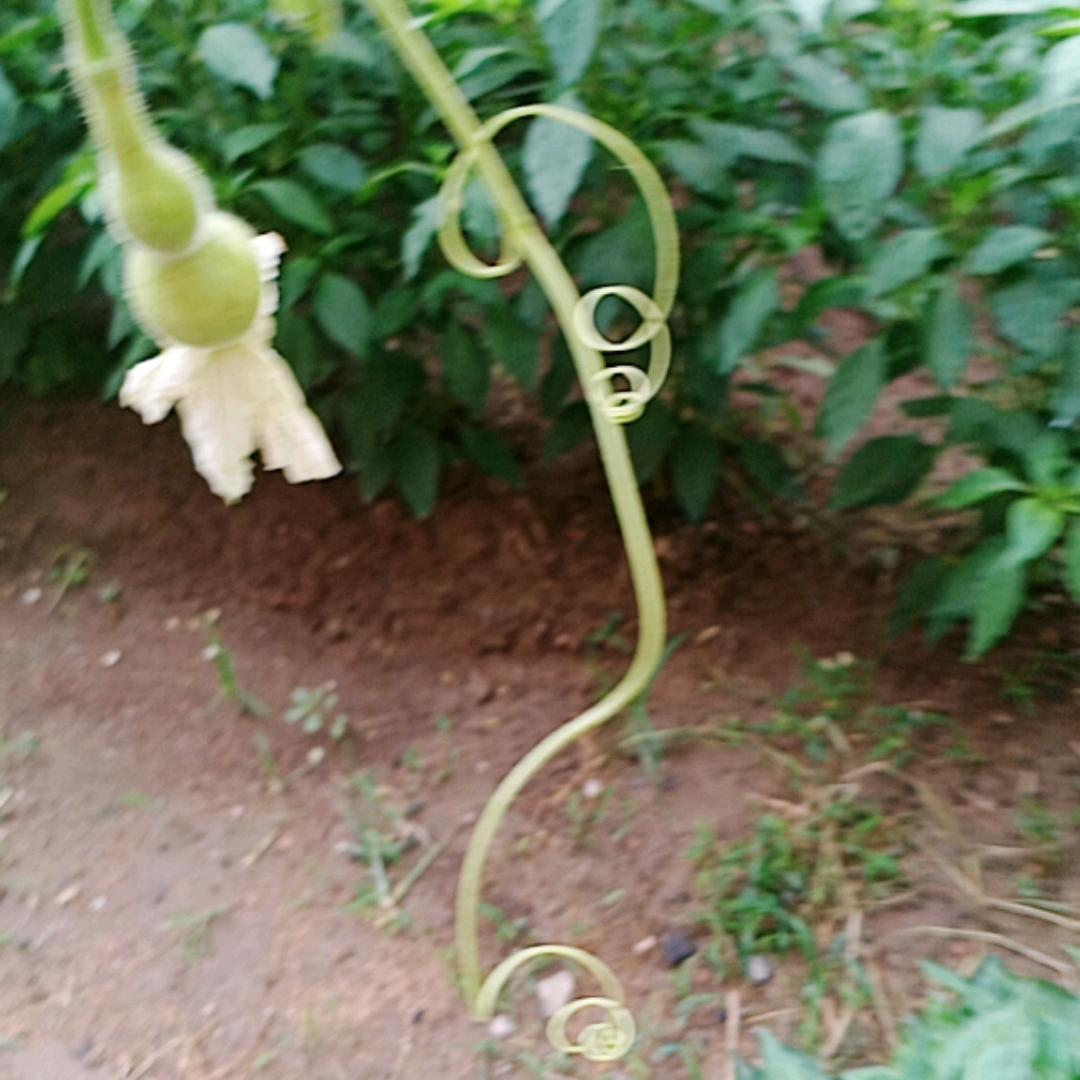 向幸福生活出发