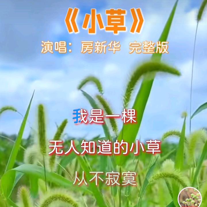 我叫小草