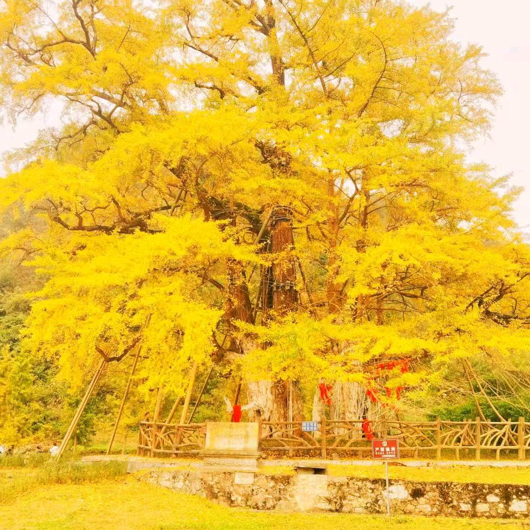 我和你距离20米