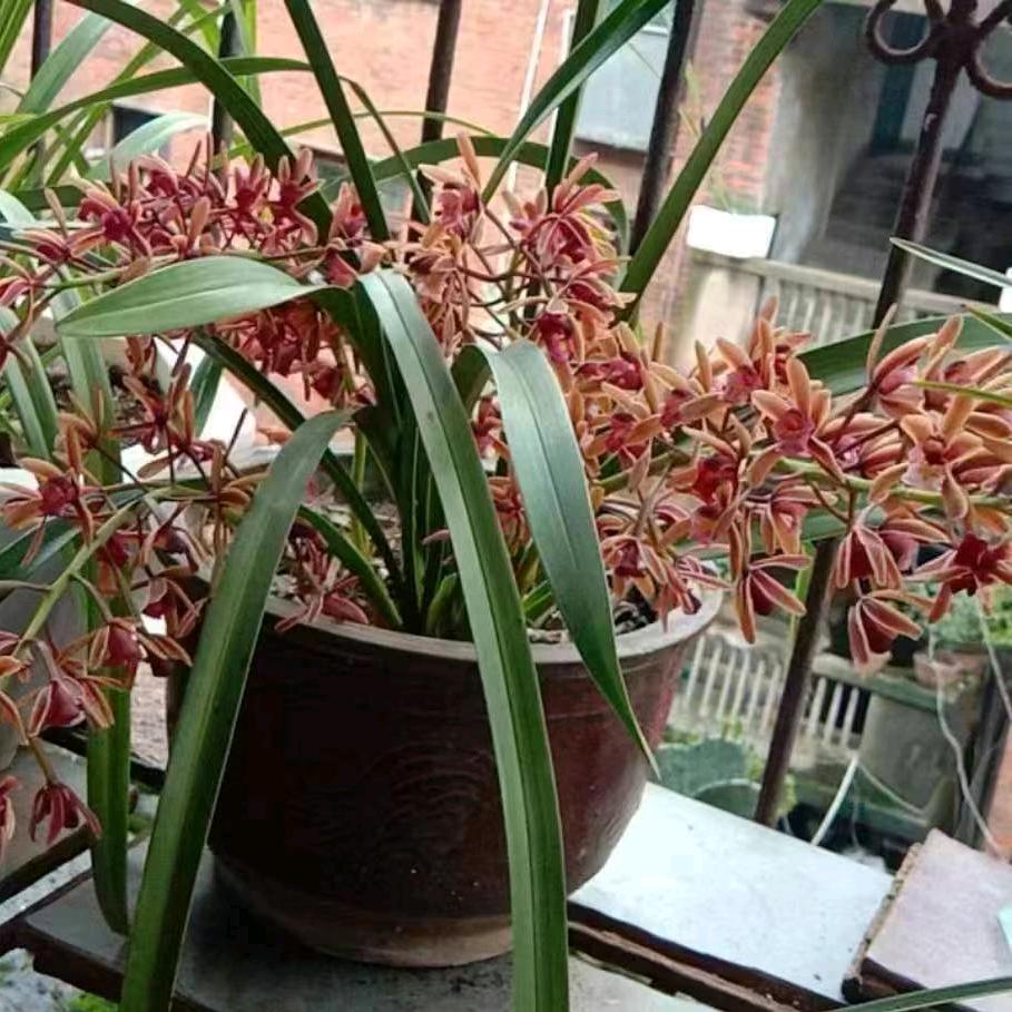 丁丁 佳惠超市(天星阁店)