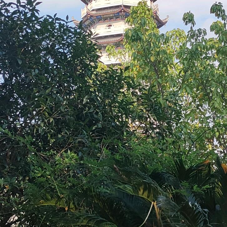 成哥_