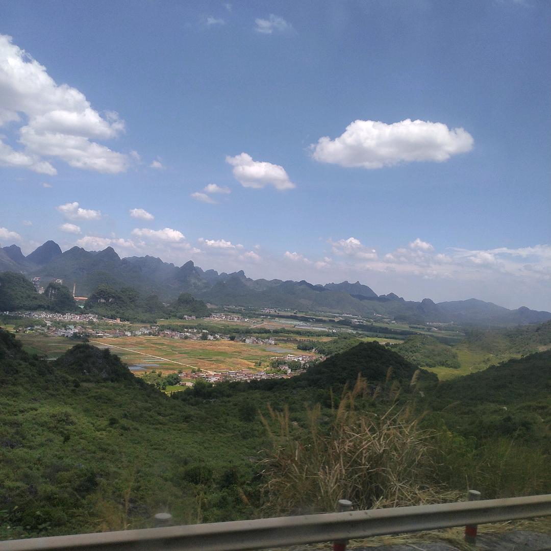 劲哥