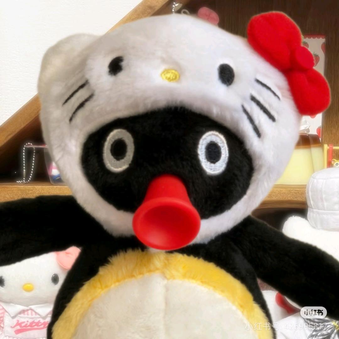 冷酷眠眠猫