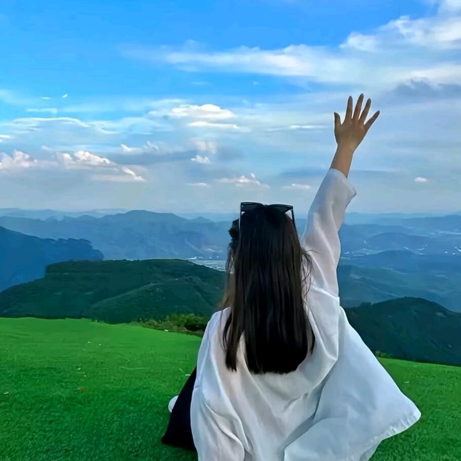 银川蝶儿