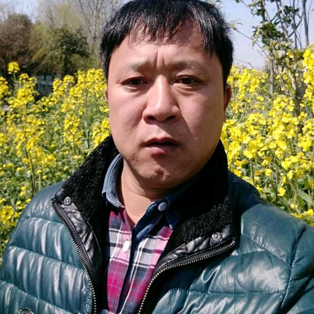 招财猫的铃铛