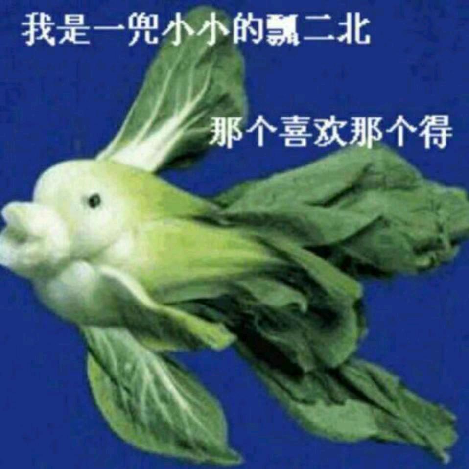 思念