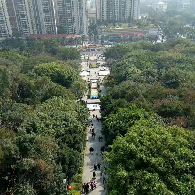 柏老大