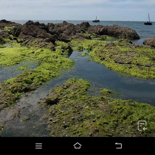 এ᭄ℳ๓小太阳☀️º᭄