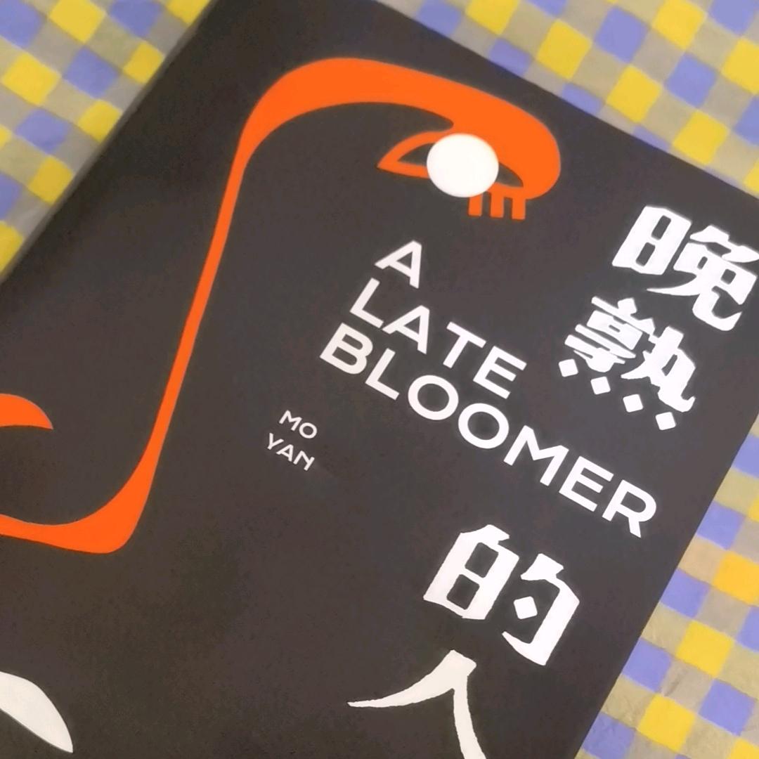 ξ静