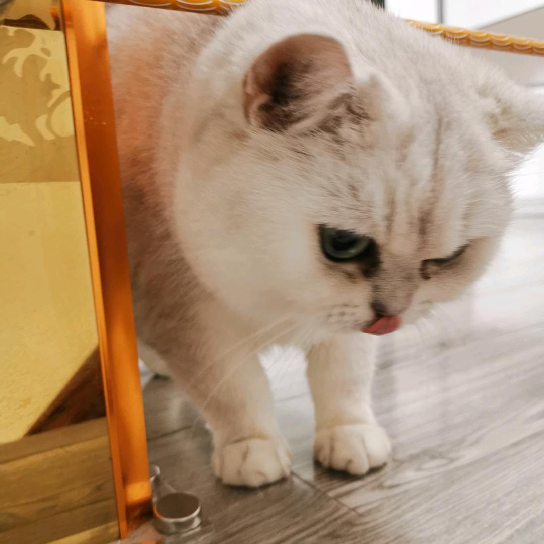 倚楼清秋