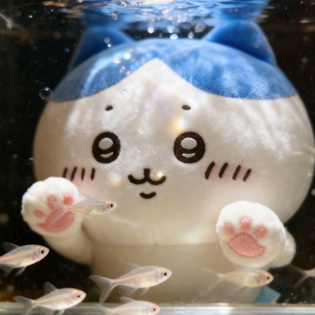 苗晟杂谈