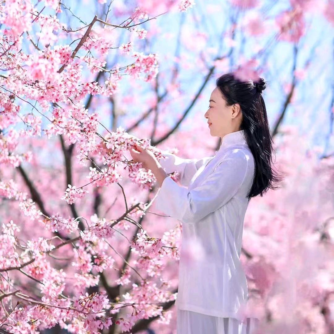 林晓真花道修行