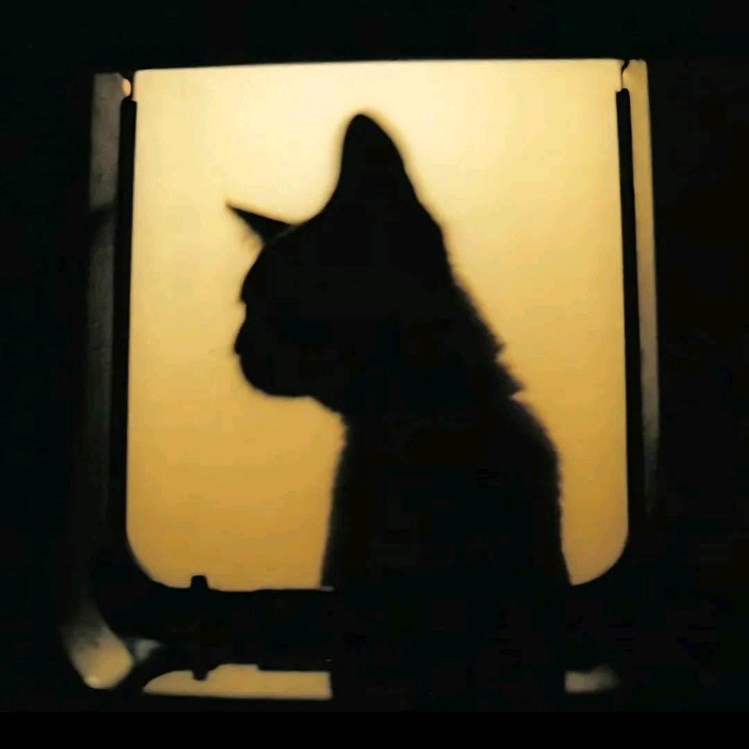 唯翎