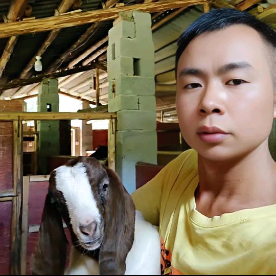 @放羊的星星～海辉💫💫