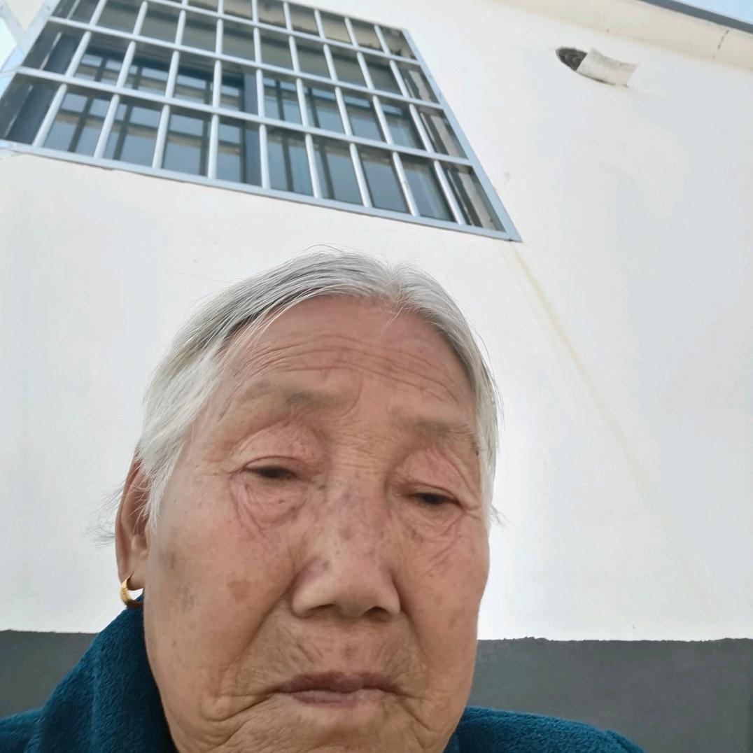 一枝梅