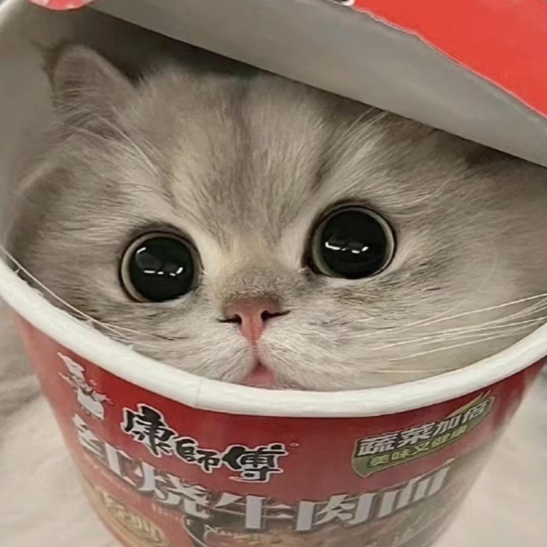 煎bingo子