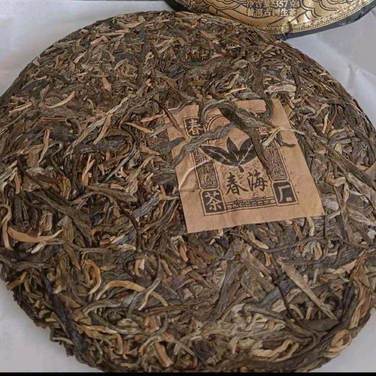 龍