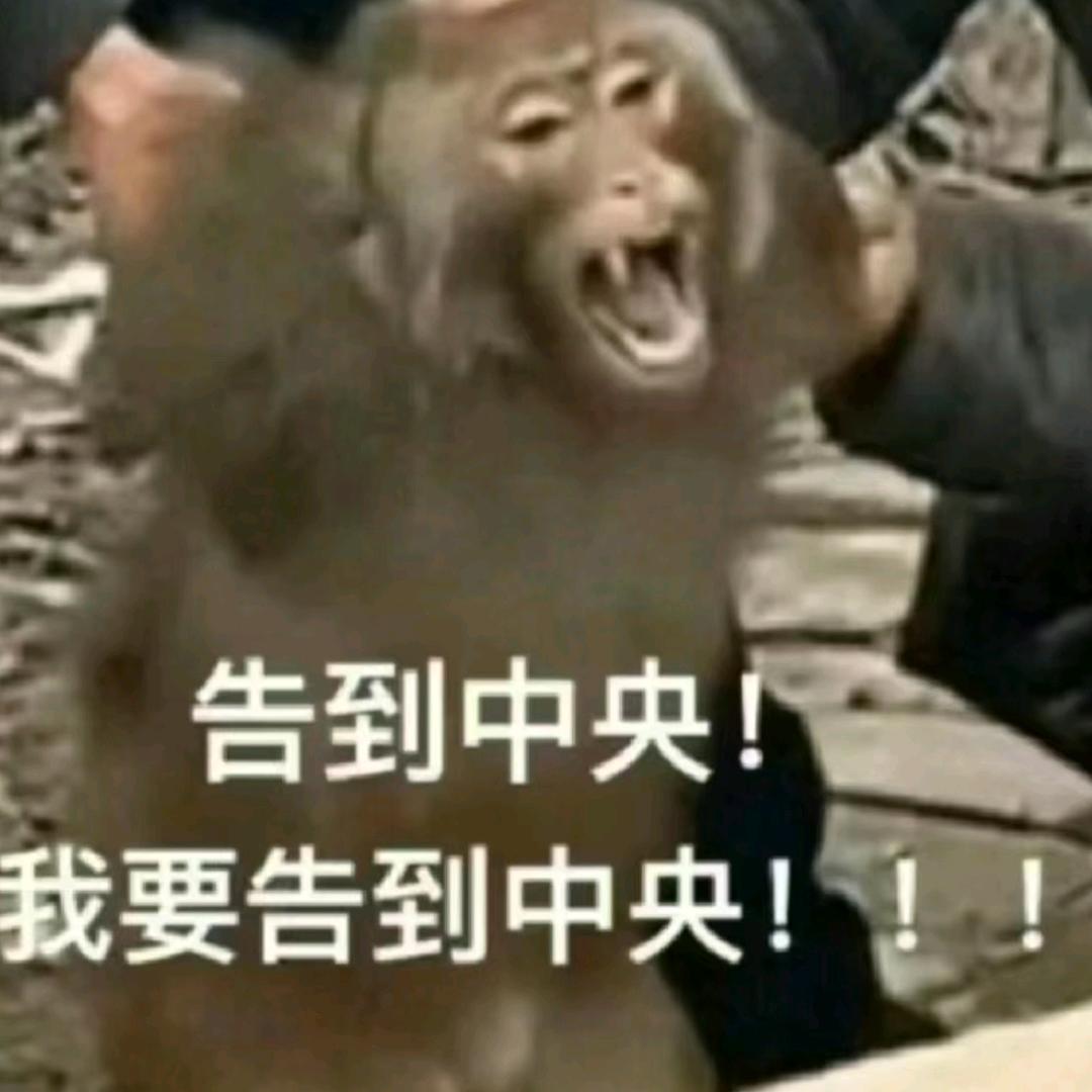 满山猴子我腚最火