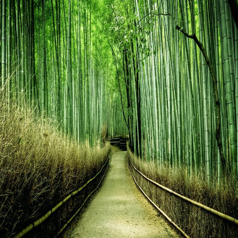 捌莳巼了也幺圶旯皮