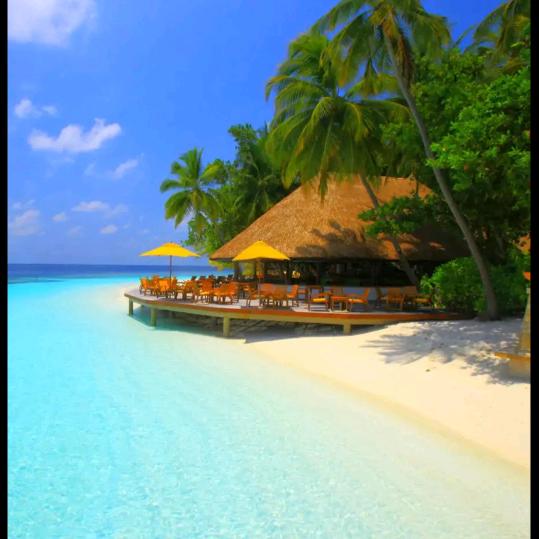 o(*≧▽≦)ツ┏━┓一介草民