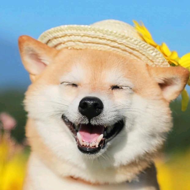 奋斗