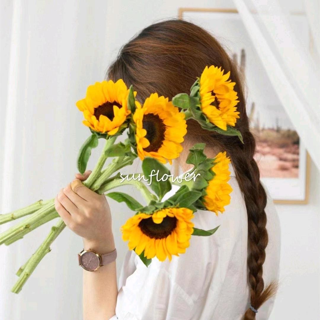 欢乐颂品牌直供