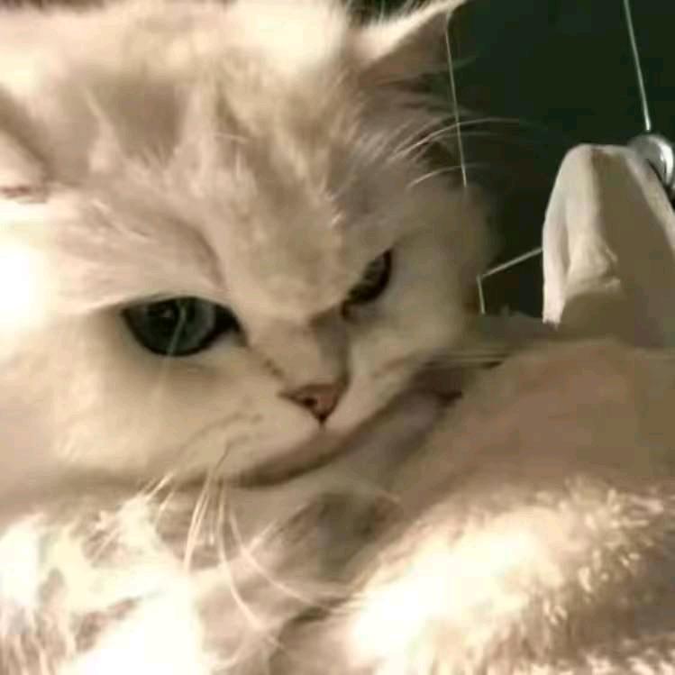 承諾