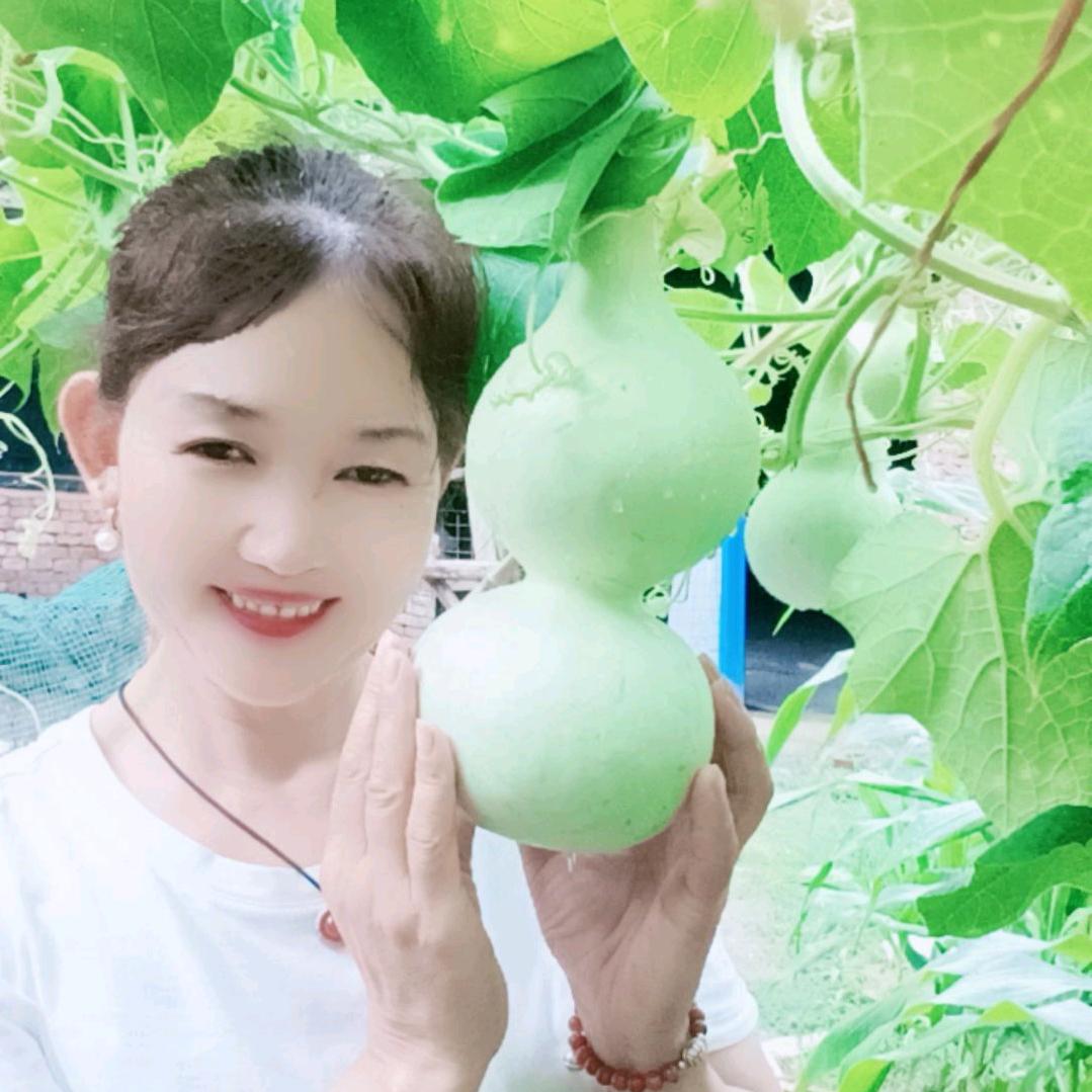 英舞飞扬
