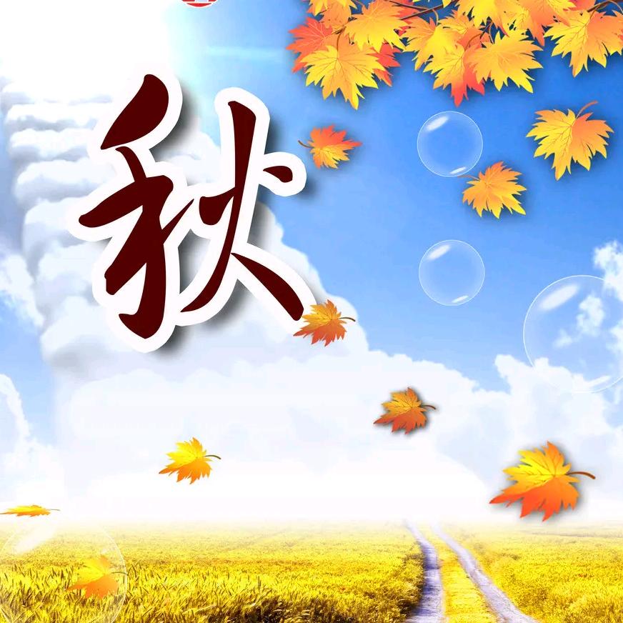 秋天💤