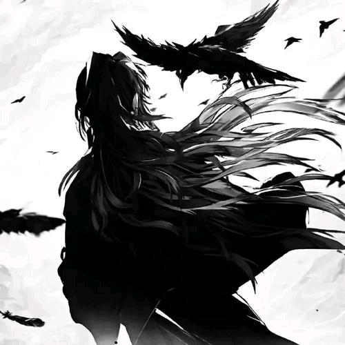晓禾