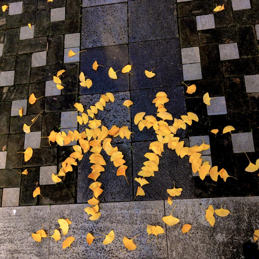 那是自然