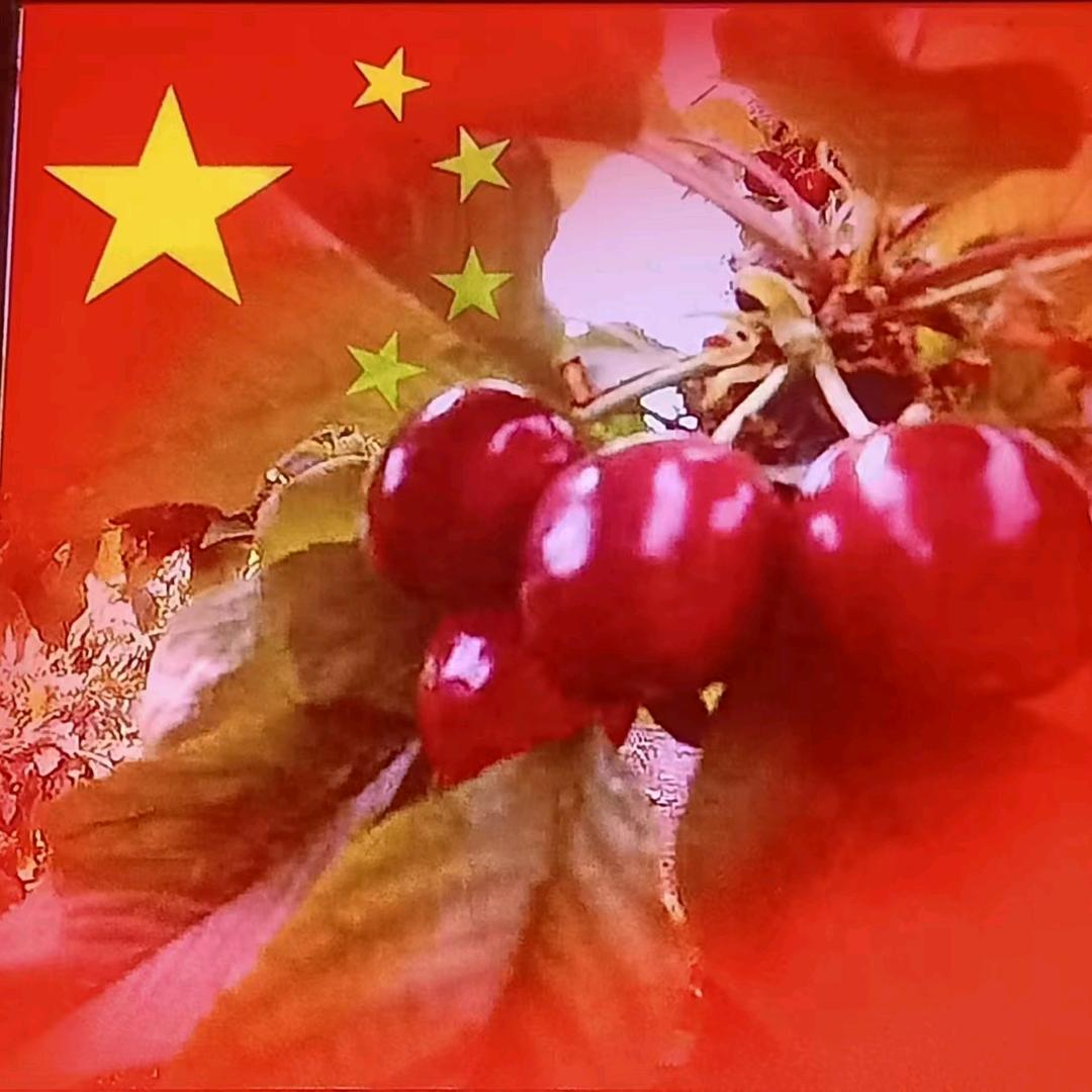 一杯白开水