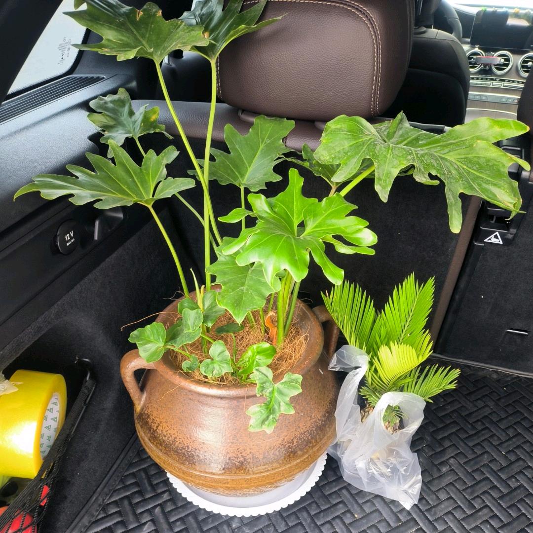 解放欧曼东风徐工柳汽汽车配件