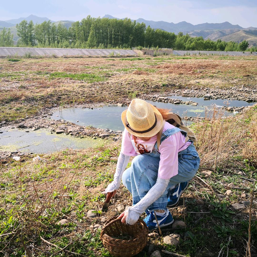 春天里的一枝梅