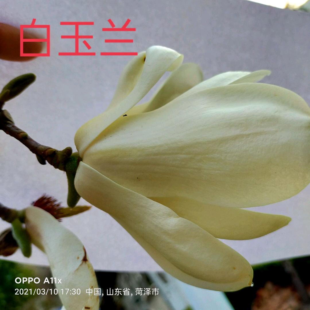 海纳百川(尘）