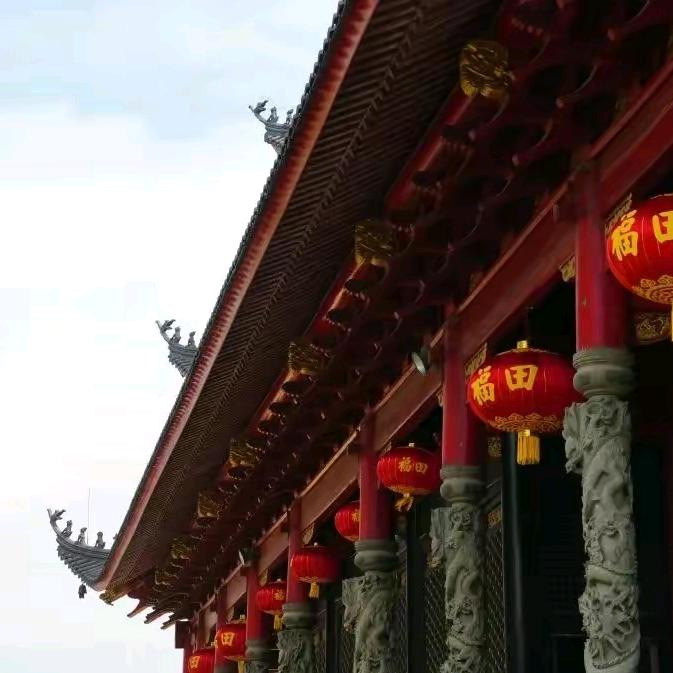 梅花的艺术