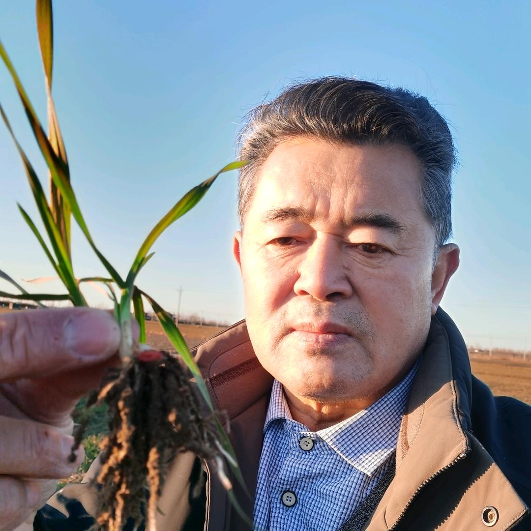 王计皂