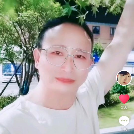 木叶☘