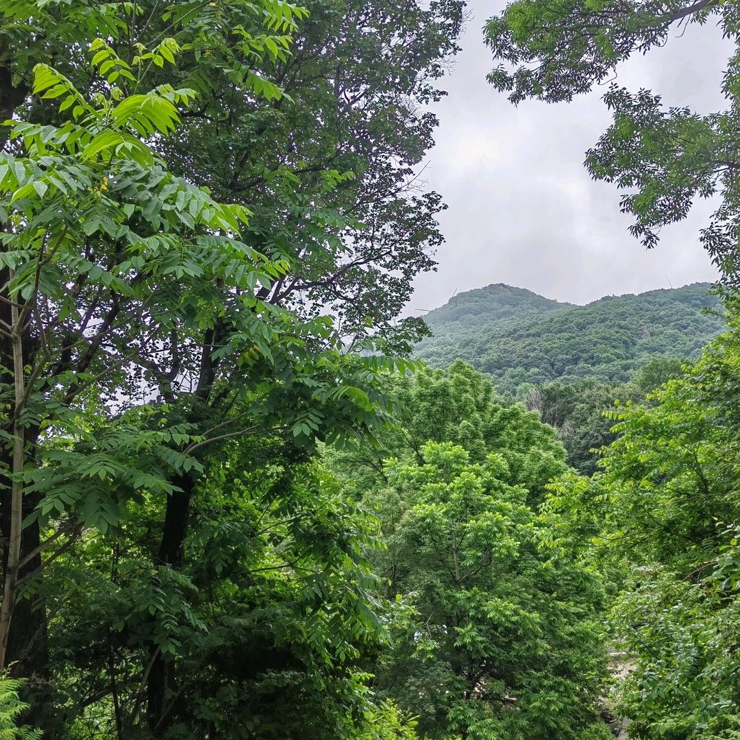 是你吗