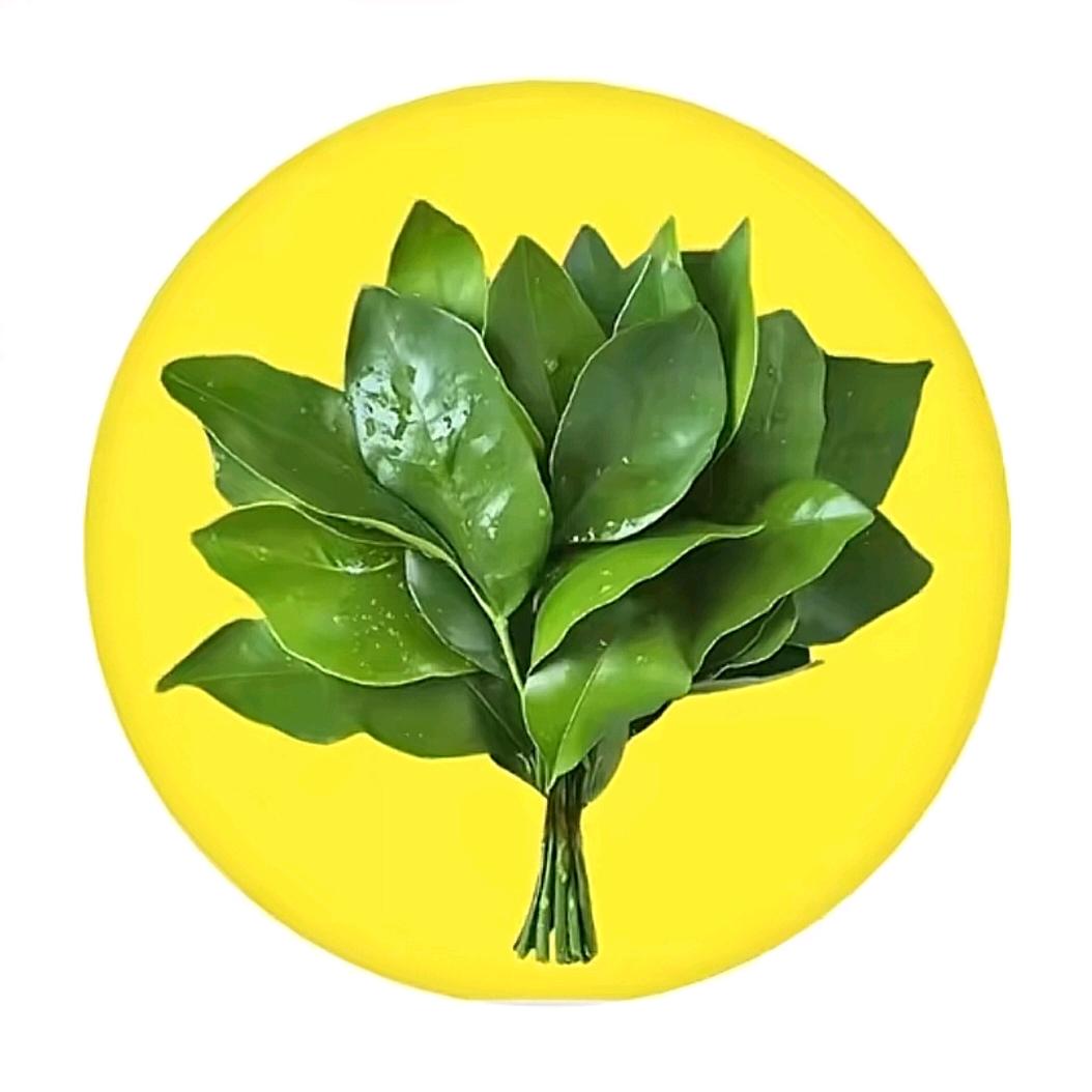 翠玉清荷