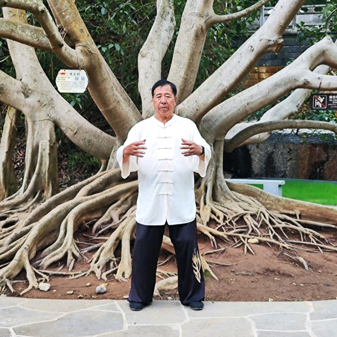 王新华太极擒拿