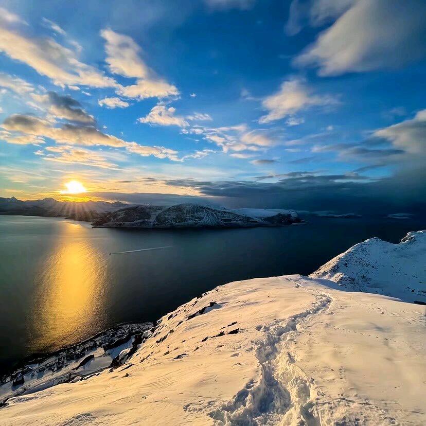 🍃Garrison『欧』